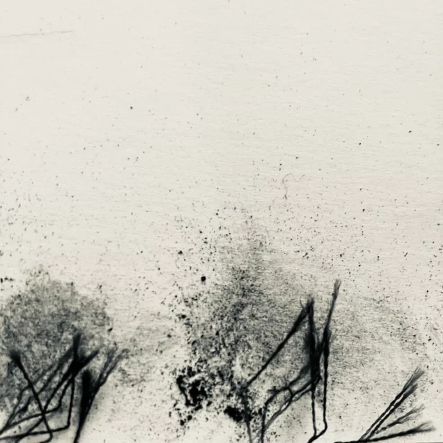 #workinprogress#geraldineplazenet.com #drawing #salt #geneva @vvgva @regnefils @galerie_cimaise #ruine_art #upcomingexibition #art @natokeramos