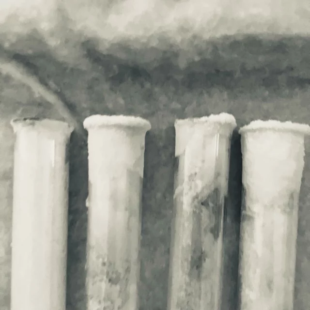 #workinprogress#geraldineplazenet.com #drawing #salt #geneva @vvgva @regnefils @galerie_cimaise #ruine_art #upcomingexibition #art @natokeramos