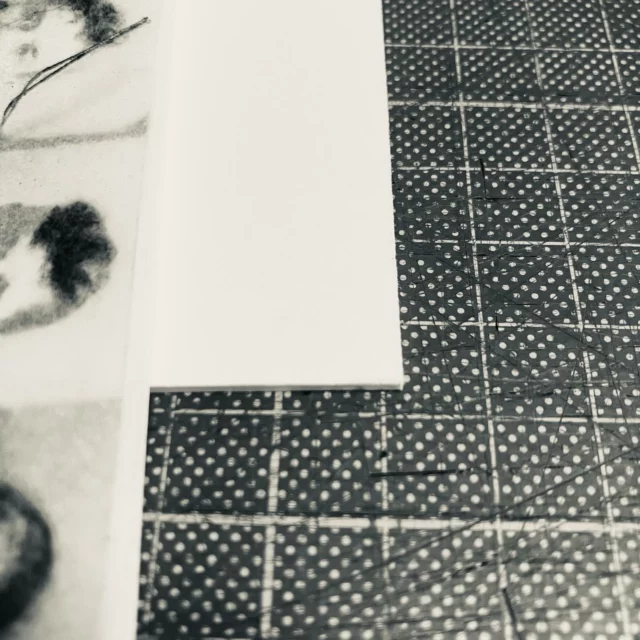 Merci @galerie_cimaise #workinprogress#geraldineplazenet.com #drawing #salt #geneva @vvgva @regnefils @galerie_cimaise #ruine_art #upcomingexibition #art @natokeramos